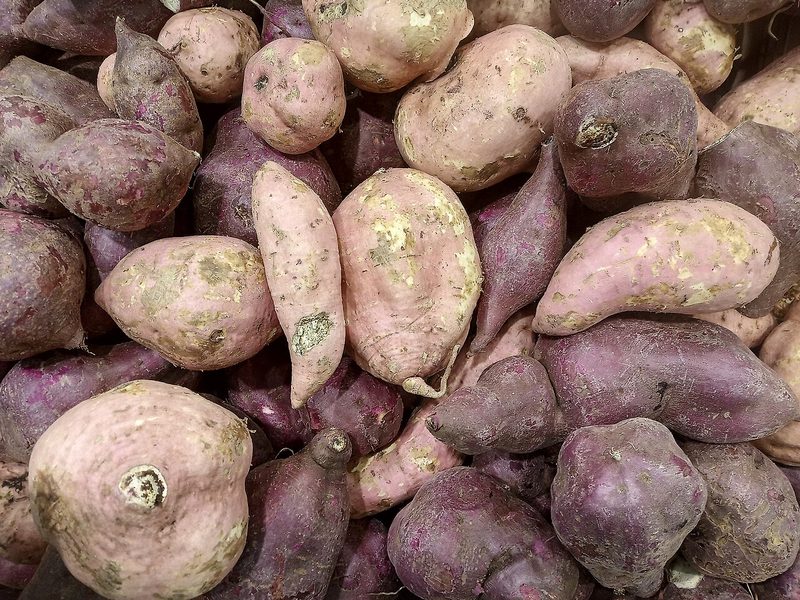 A pile of freshly harvested purple-skinned sweet potatoes (example photo)